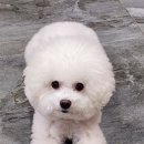 까까멍 이미지
