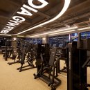 다이아 짐 이미지