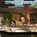 목포자연사문화박물관 이미지