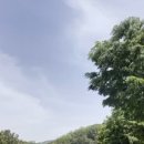 GDR아카데미 분당정자점 이미지