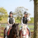 송이목장 이미지