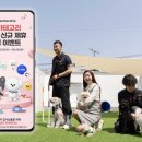 멍냥 펫택시 이미지