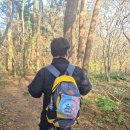 부산체육중학교 | [2인3각, 2기 11조 멘토후기] 여덟번째날