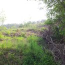 은행목장 이미지