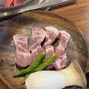 찬미돼지 이미지
