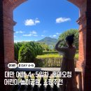 대만 4-5일차_홍마오청,국립고궁박물관,타이베이 어린이공원,시먼딩,대만쇼핑