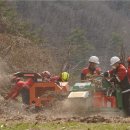 산림영농조합