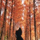 임가네해물천국 이미지