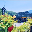 SBS펜션 | 가족이랑 머물기 딱 좋은 문경독채펜션, 강가포근한집 후기