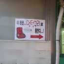 멍텅구리분식 이미지