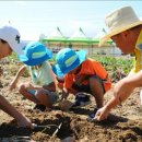 천고농장 이미지