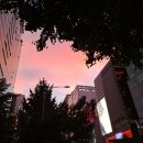 Pretty sunset 이미지