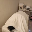 이로운에스테틱 | 산남동 등관리 청주 원탑 바디관리 에스테틱 이로운 재방문 후기