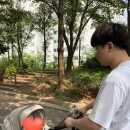 Dune 2 | 💕 베이비페어에서 직접 보고 선택한 유모차, 실버크로스 듄2 (Silver Cross Dune2) 후기 💕