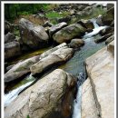 단양중학교 이미지