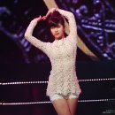 데일리엠카(주) 이미지