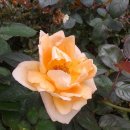 대구역광장 이미지