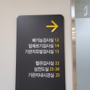 함치성 낭종 적출술 전 검사(전신마취 걱정+용인세브란스병원 카페&amp;푸드코트 소개)