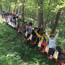 백두대간약초나라 이미지