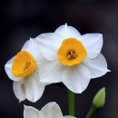 (신중년) 캘리그라피 이미지