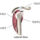 섬기는한의원 네이버블로그