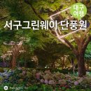 대구 서구그린웨이 단풍원 수국명소 데이트 가볼만한곳