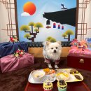 피플앤 퍼피 이미지