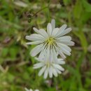 산본고등학교 이미지