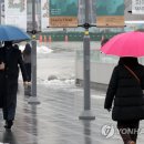 촉촉이네 이미지