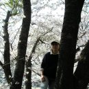 산성로 이미지