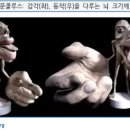 제이미피티스튜디오