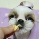 (주)아콩 이미지