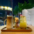 김해동물메디컬센터 | [김해카페] 김해 내동 카페 노드 바닐라빈 라떼 맛집 내돈내산 후기