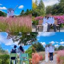 꽃길꽃담나들이 전시회 | 가평 가볼만한곳 핑크뮬리 명소 아침고요수목원 데이트