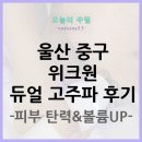 (주)메디컬오 | 울산 중구 위크원 피부탄력, 볼륨 UP 솔직 후기
