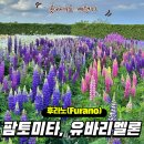 멜론버스(주) 이미지