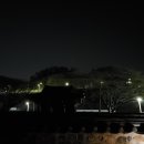 순천-44호 이미지