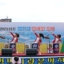 나주영산강 유채꽃축제 개막오프닝 초청공연 이미지