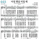 새찬송가 443장 - 아침 햇살 비칠 때 [다니엘 새찬송가 전집 9] 이미지