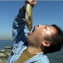 생선한입 이미지