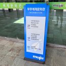 예체문화관 수달수영장 이미지