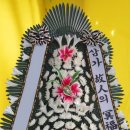 초당요양병원 이미지