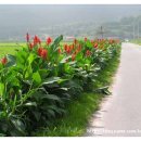 서검낚시터 이미지