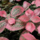 색연필드로잉 이미지