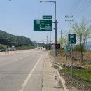 금강로 가로수길 이미지