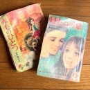 화수로 43 이미지