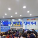 일지매 여행사 이미지