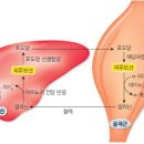 근육풀이 이미지