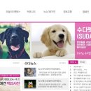수다펫 이미지