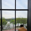 스타벅스충주호암DT점 | [충주카페] 스타벅스 충주호암DT점 | 충주 벚꽃명소, 신메뉴 버즈키위팝에너지피지오 후기